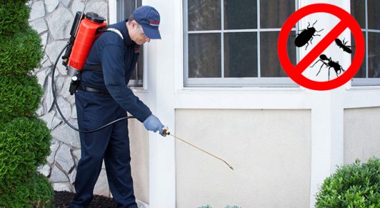 Sultanhisar Bit İlaçlama böcek ilaçlama ve haşere kontrolü — ilaclama-tr.com
